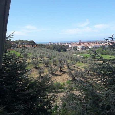 Dolci Ricordi Apartment Livorno Ngoại thất bức ảnh