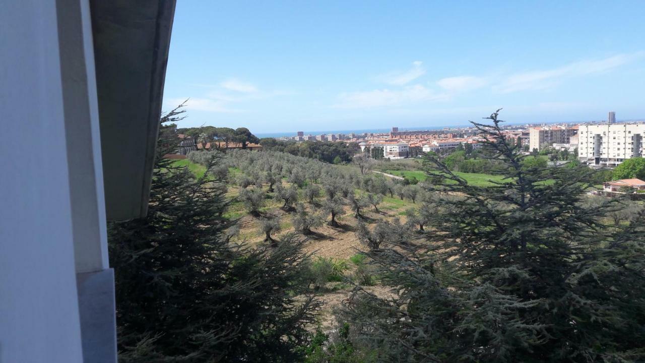 Dolci Ricordi Apartment Livorno Ngoại thất bức ảnh