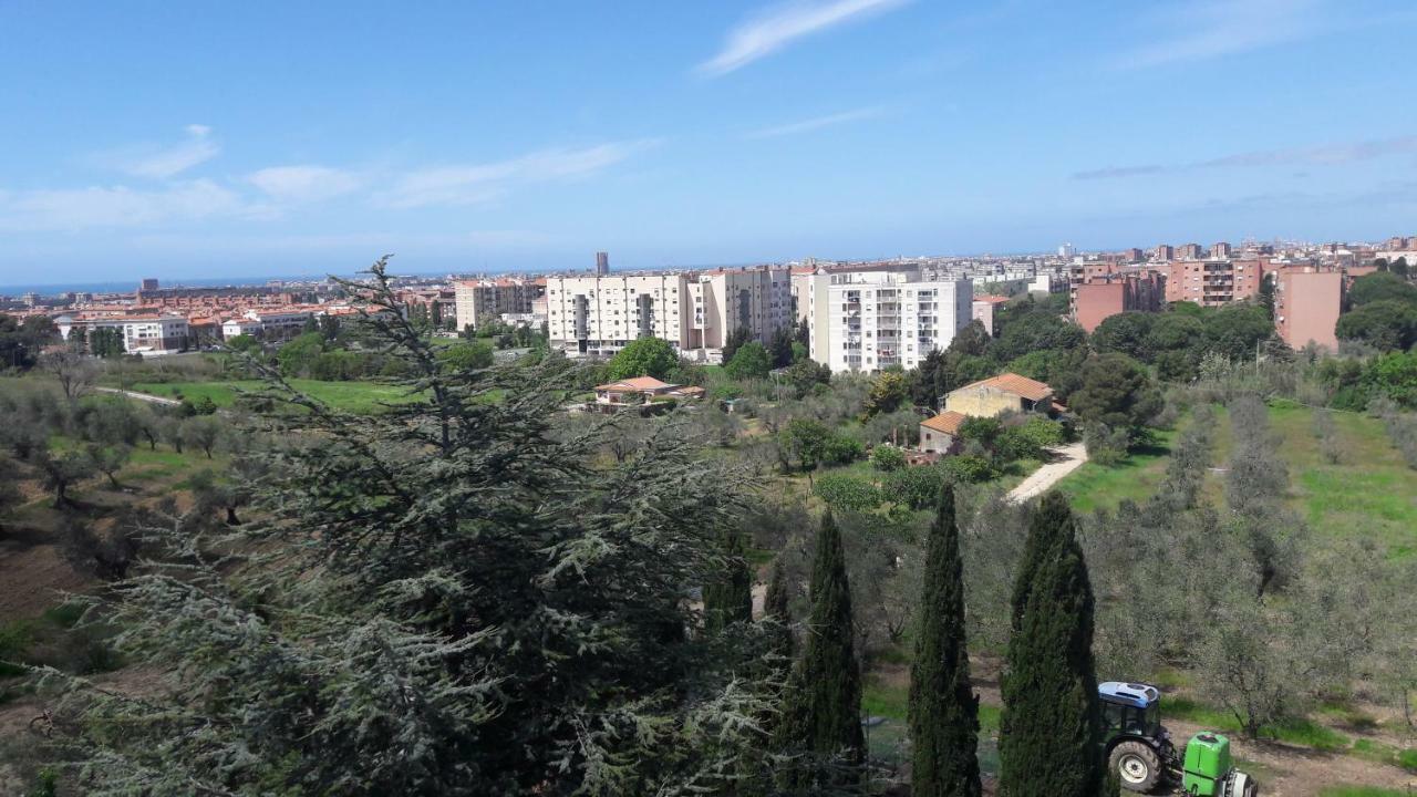 Dolci Ricordi Apartment Livorno Ngoại thất bức ảnh