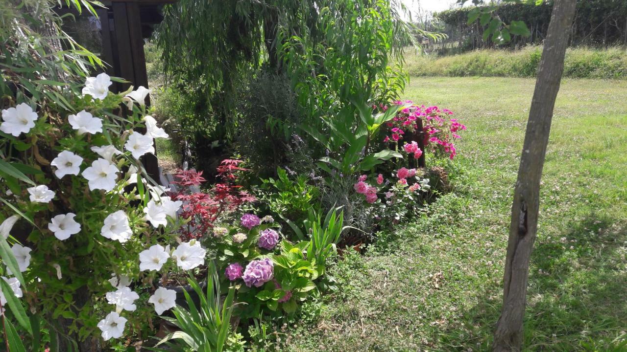 Dolci Ricordi Apartment Livorno Ngoại thất bức ảnh