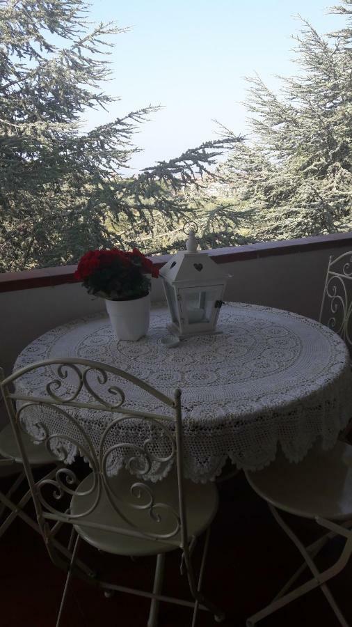 Dolci Ricordi Apartment Livorno Ngoại thất bức ảnh